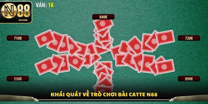 Tổng quan về game bài Catte trực tuyến tại N8