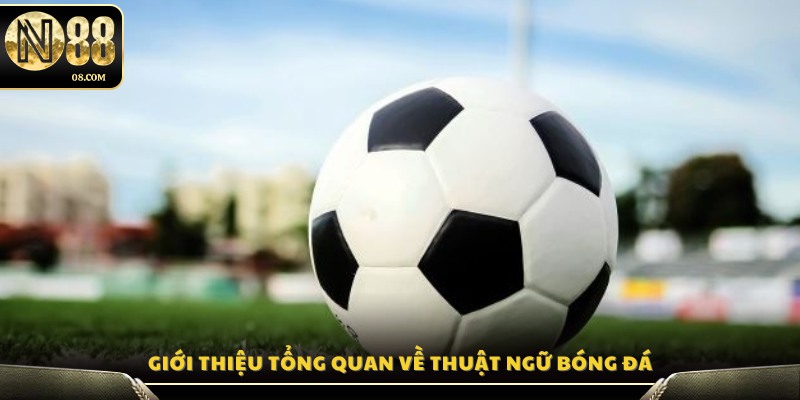 Tổng quan chi tiết về các thuật ngữ bóng đá 